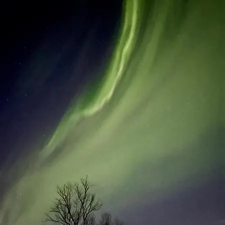 Close To The City, Ocean And Mountains -tromso