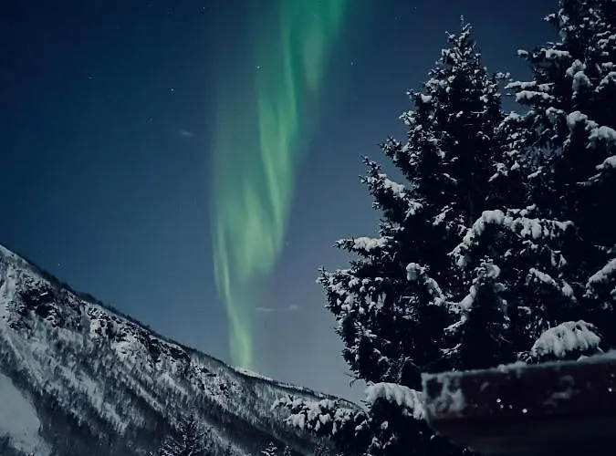 Close To The City, Ocean And Mountains -tromso Apartament *