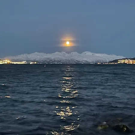 Close To The City, Ocean And Mountains -tromso