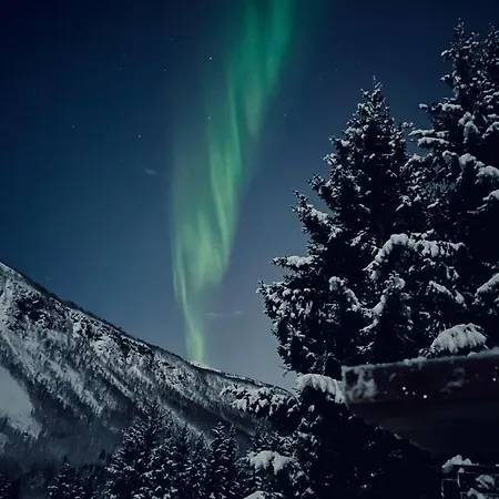 Close To The City, Ocean And Mountains -tromso Lejlighed *